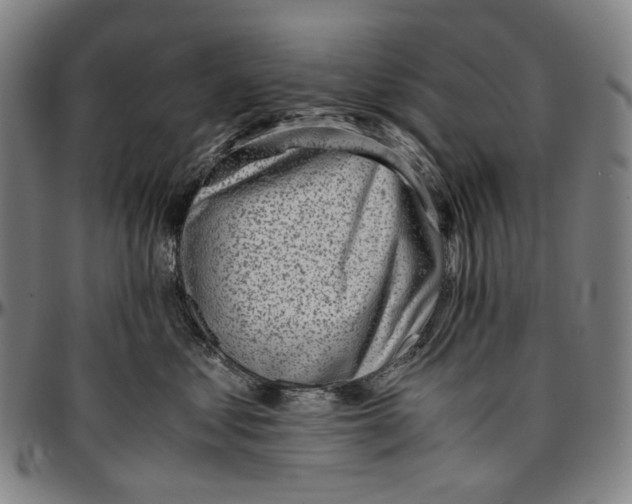 X0000096960621200802291123