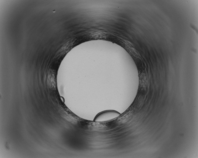 X0000096960622200802291123