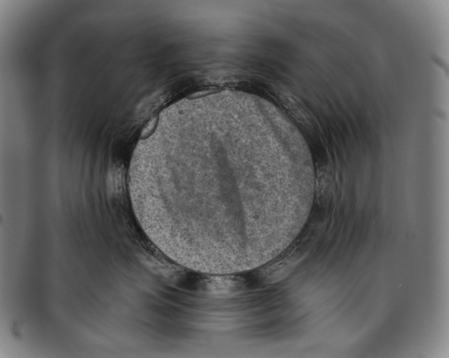 X0000096960623200802291122