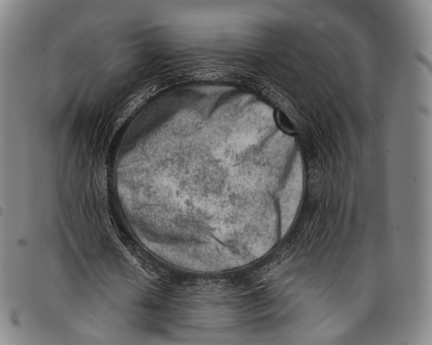 X0000096960626200802291122