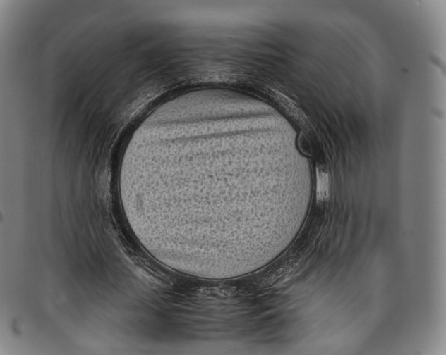 X0000096960627200802291122