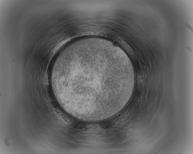 X0000096960628200802291122