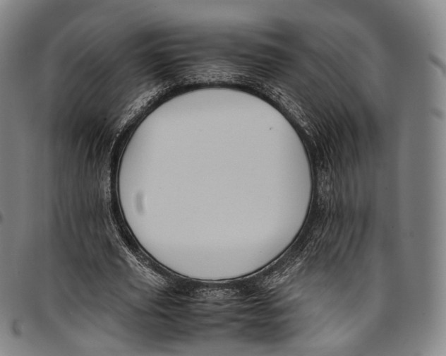 X0000096960629200802291122