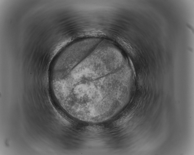 X0000096960630200802291122