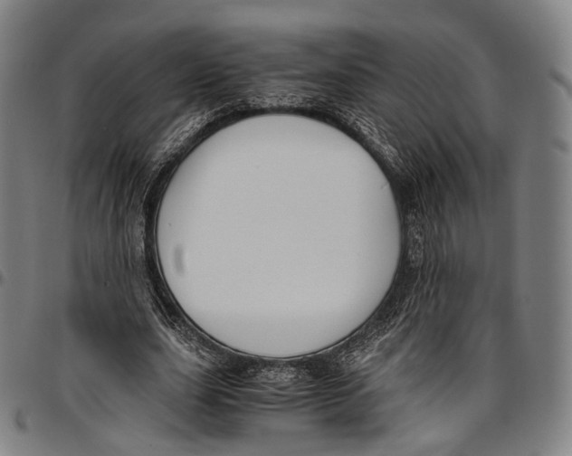 X0000096960631200802291122