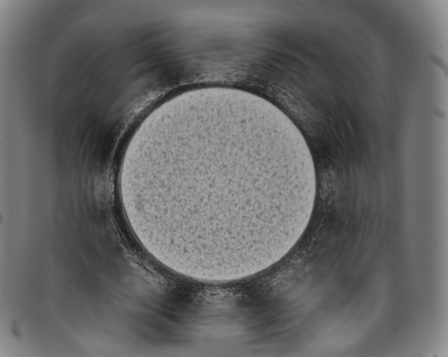 X0000096960632200802291122