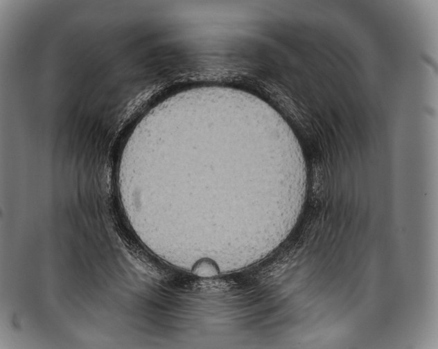 X0000096960636200802291122