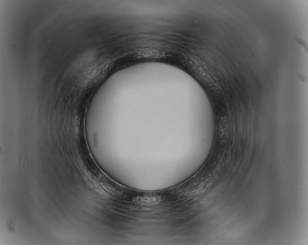 X0000096960639200802291122