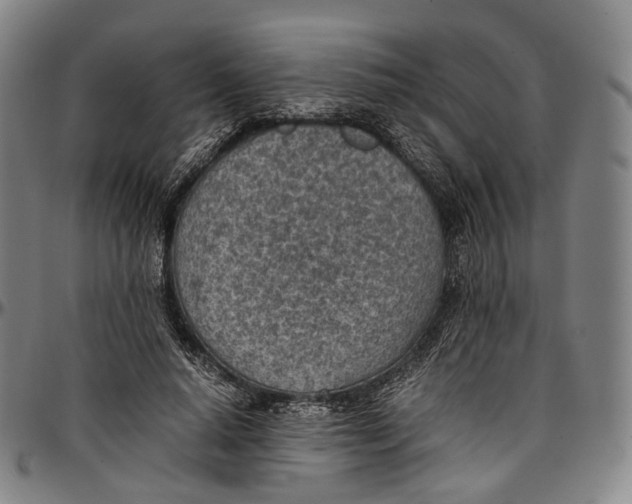 X0000096960640200802291122