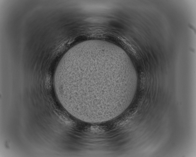 X0000096960641200802291122