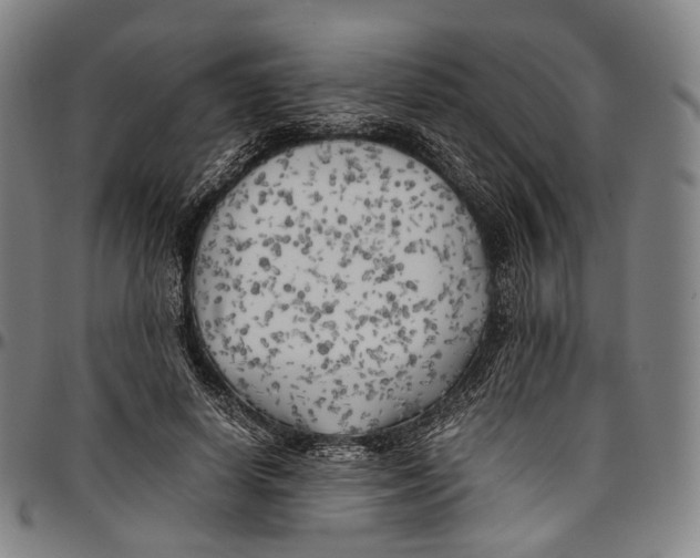 X0000096960642200802291122