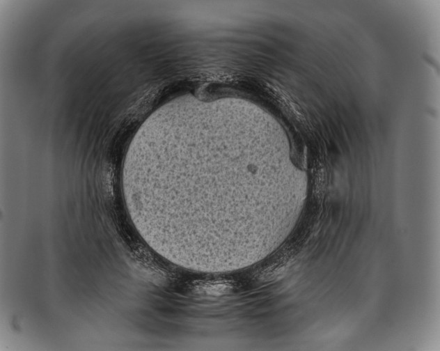 X0000096960643200802291122