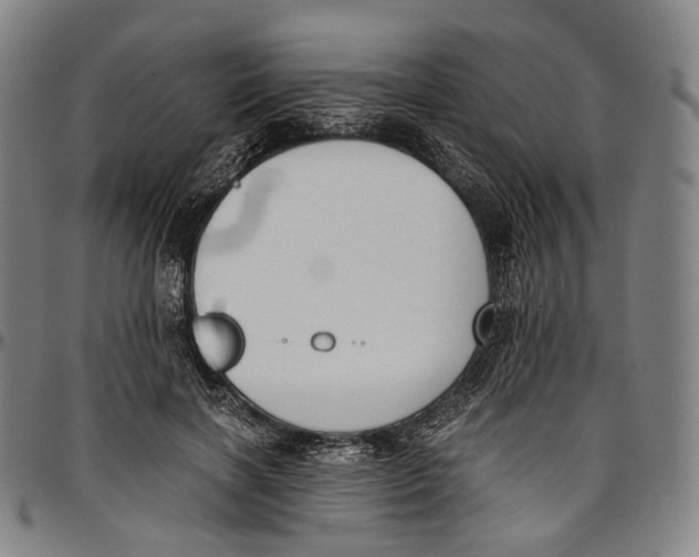 X0000096960646200802291122