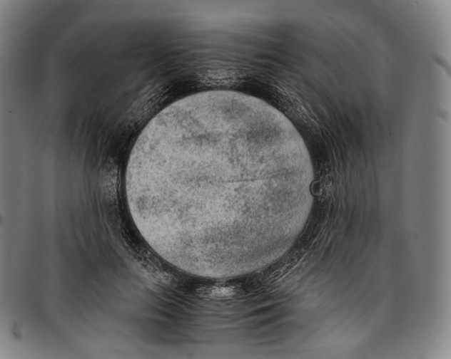 X0000096960647200802291122