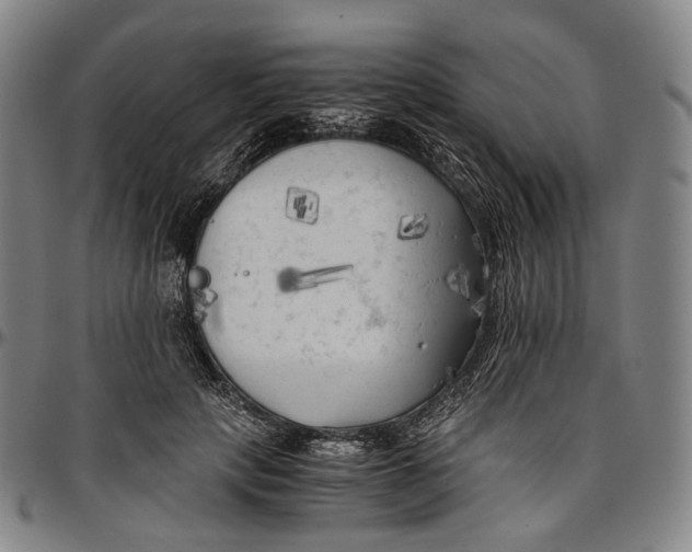 X0000096960649200802291122