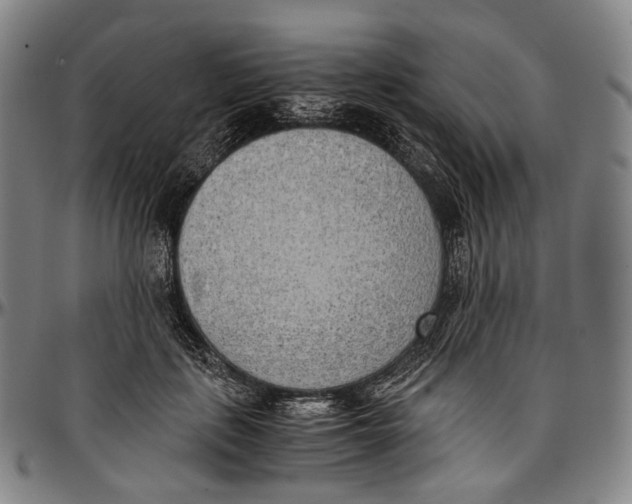 X0000096960651200802291122