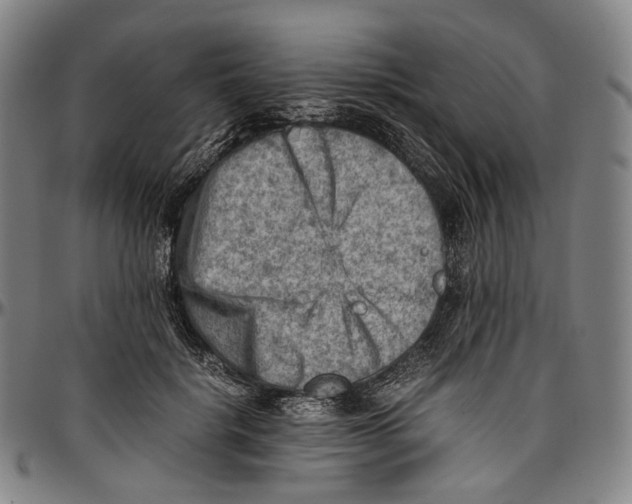 X0000096960652200802291122