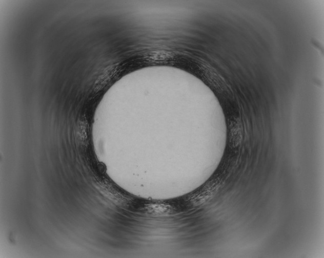 X0000096960654200802291122