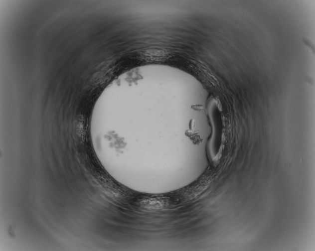 X0000096960655200802291122