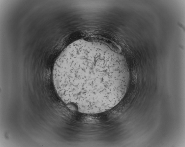 X0000096960657200802291122