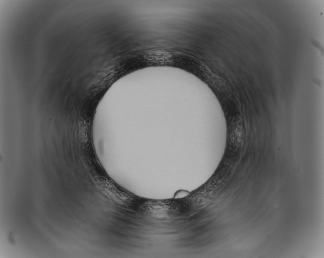 X0000096960658200802291122