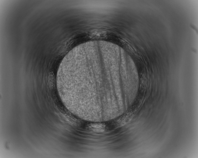 X0000096960659200802291122