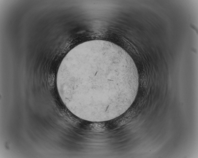 X0000096960660200802291122