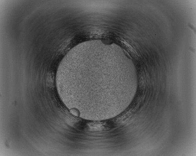 X0000096960661200802291122