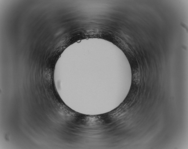 X0000096960662200802291122