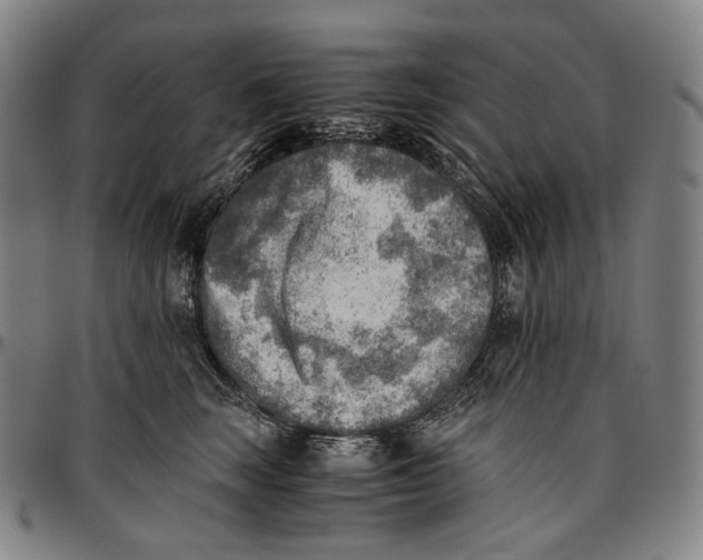 X0000096960663200802291122