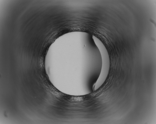 X0000096960665200802291122