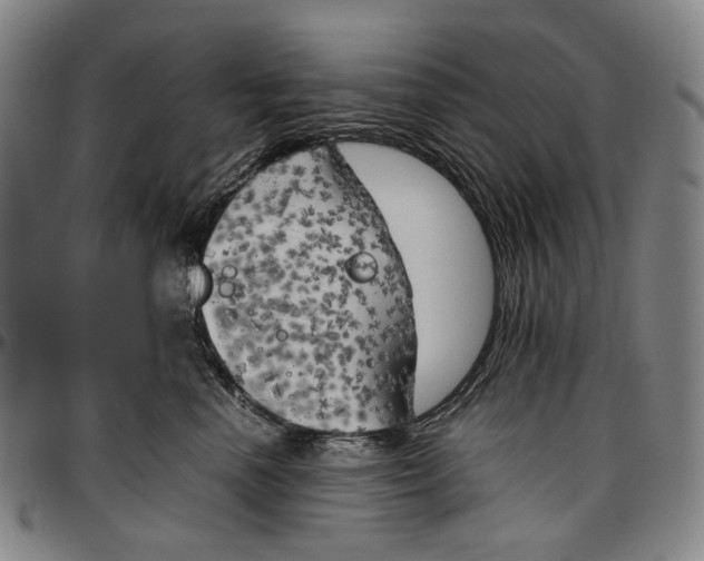 X0000096960666200802291122