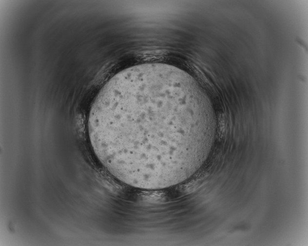 X0000096960667200802291122