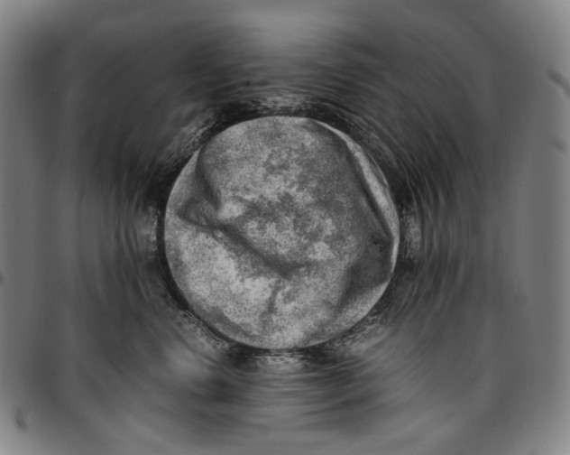 X0000096960668200802291122