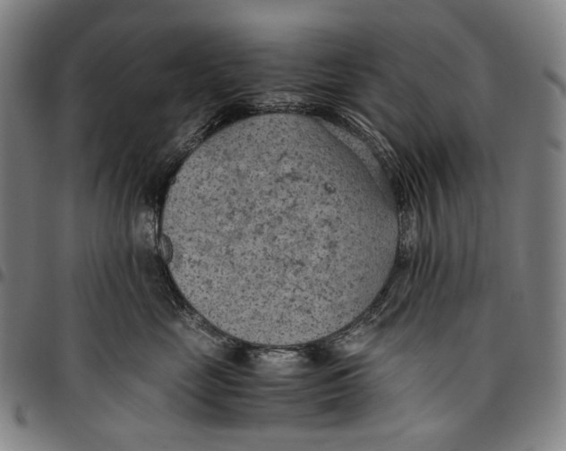 X0000096960669200802291122