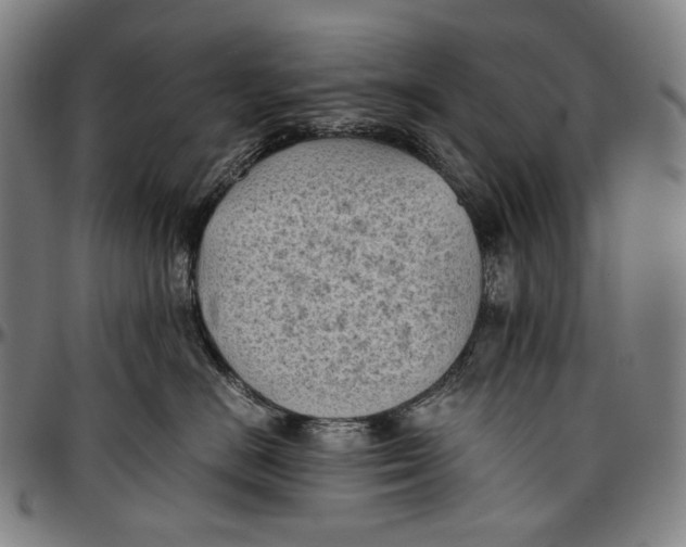 X0000096960670200802291122