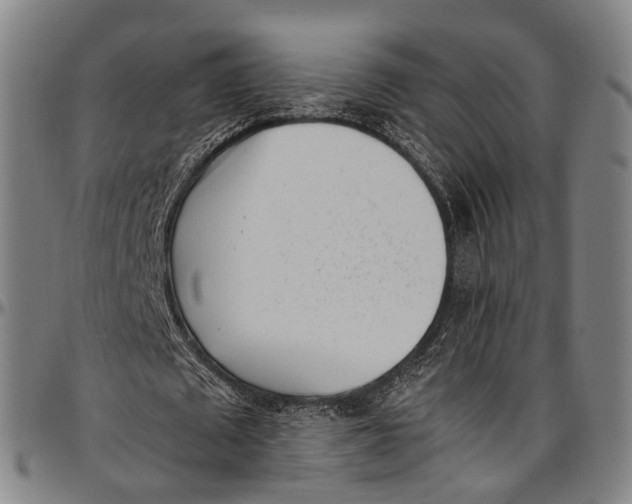 X0000096960673200802291122