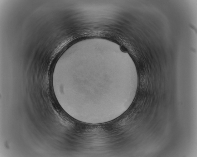 X0000096960674200802291122