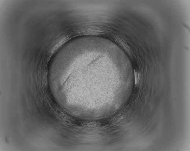 X0000096960675200802291122