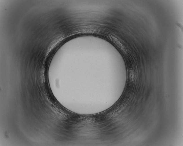 X0000096960676200802291122