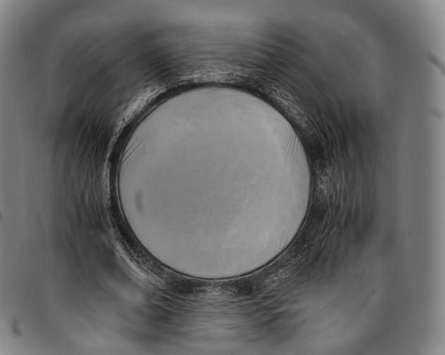 X0000096960678200802291122