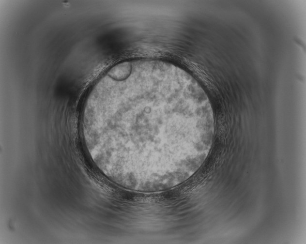 X0000096960679200802291122