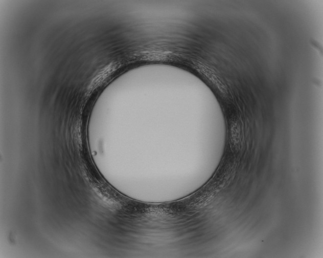 X0000096960682200802291122