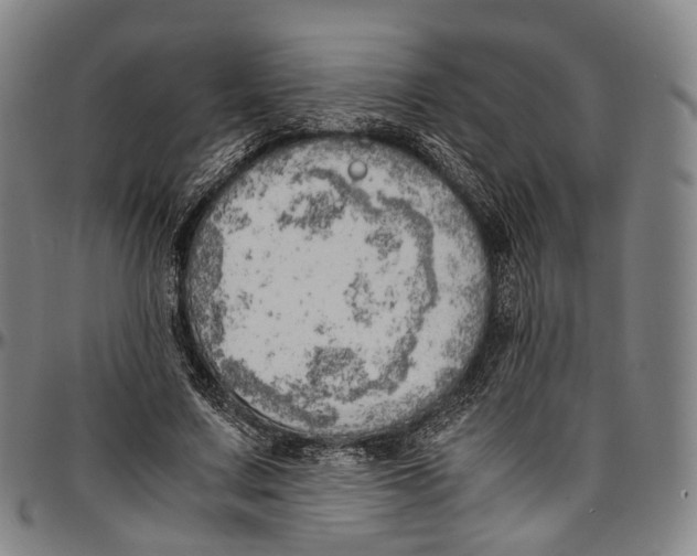 X0000096960683200802291122