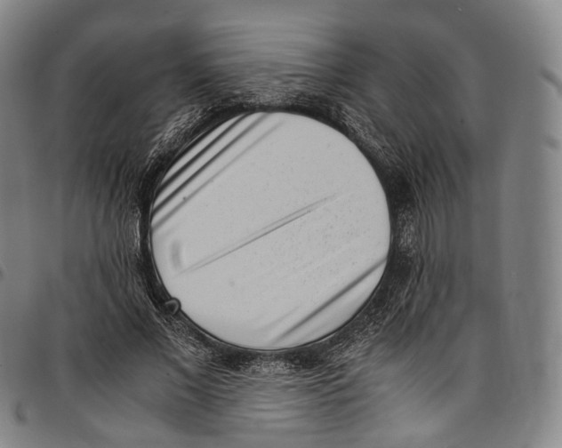 X0000096960685200802291122