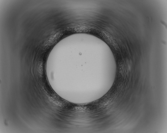 X0000096960690200802291121