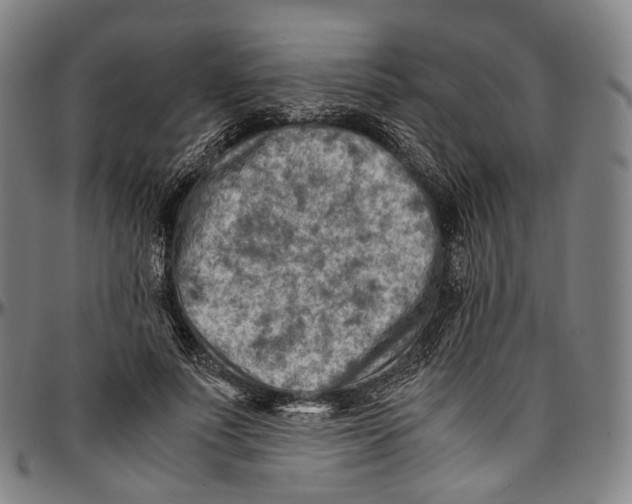 X0000096960691200802291121