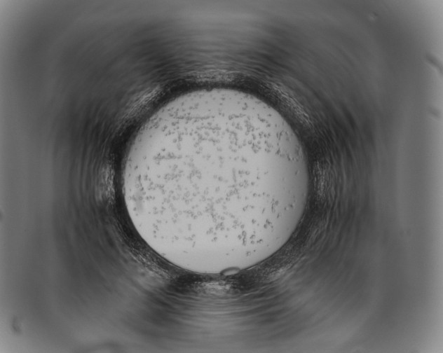 X0000096960692200802291121