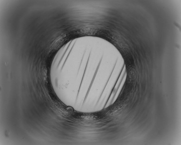 X0000096960693200802291121