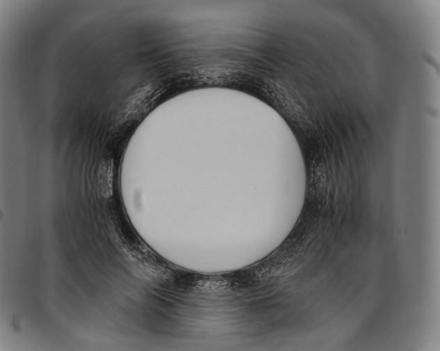 X0000096960694200802291121